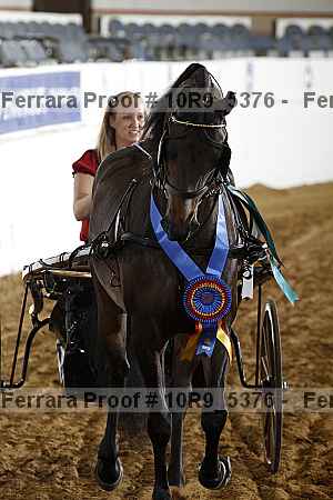 Proof 10r9_5376