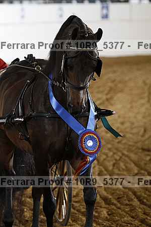 Proof 10r9_5377