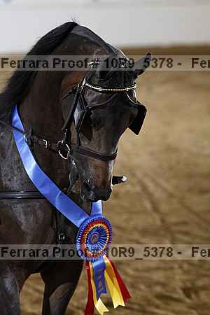 Proof 10r9_5378