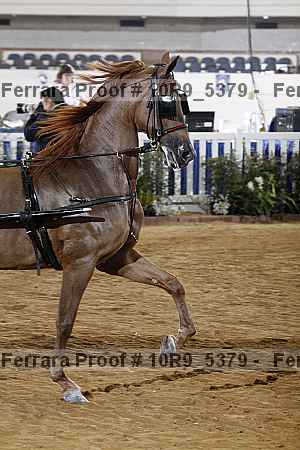 Proof 10r9_5379