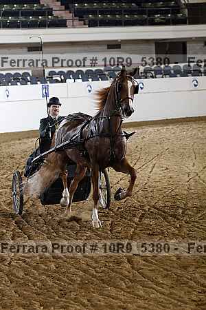 Proof 10r9_5380