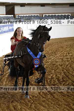 Proof 10r9_5386