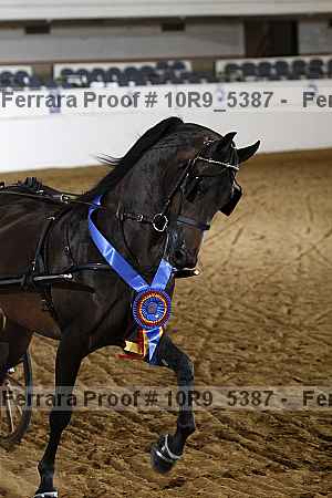 Proof 10r9_5387