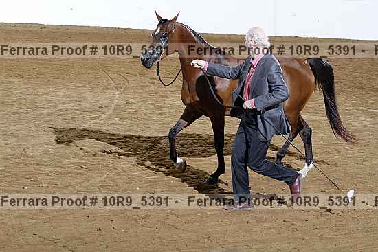 Proof 10r9_5391