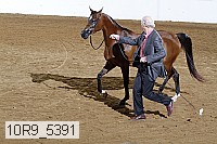 10r9_5391 proof