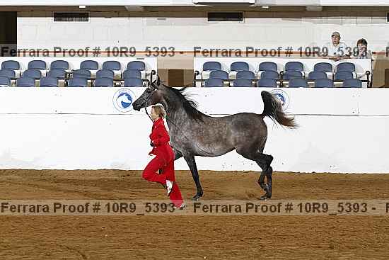 Proof 10r9_5393