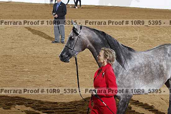 Proof 10r9_5395