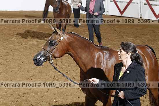Proof 10r9_5396