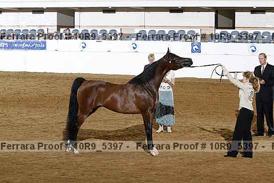 Proof 10r9_5397