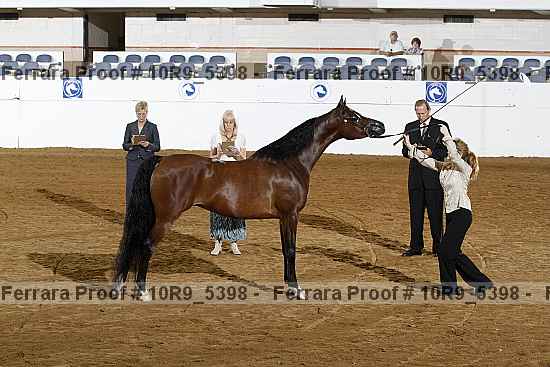 Proof 10r9_5398