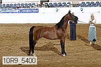 10r9_5400 proof