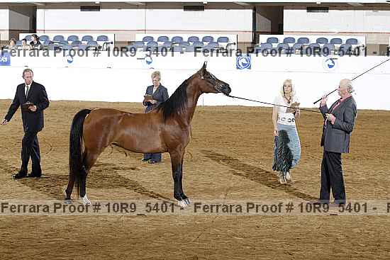 Proof 10r9_5401