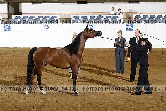 Proof 10r9_5402