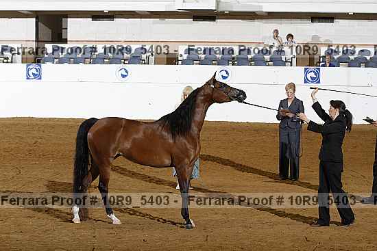 Proof 10r9_5403