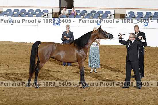 Proof 10r9_5405