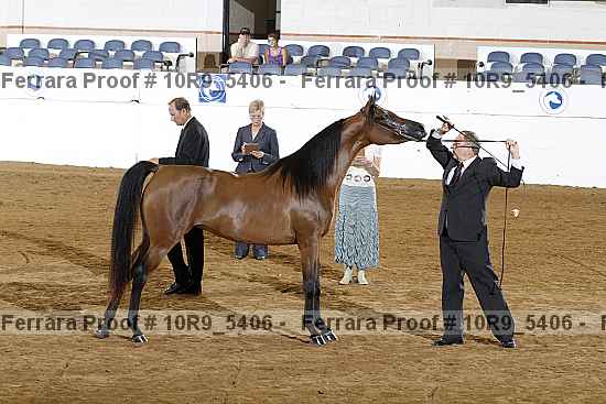 Proof 10r9_5406