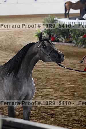 Proof 10r9_5410