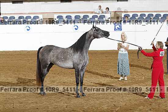 Proof 10r9_5411