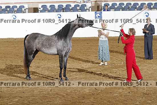 Proof 10r9_5412