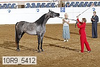 10r9_5412 proof