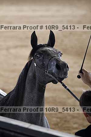 Proof 10r9_5413