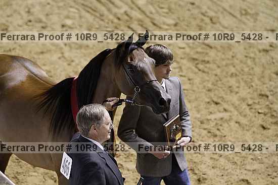 Proof 10r9_5428