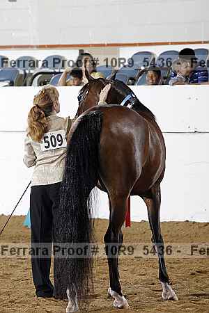 Proof 10r9_5436