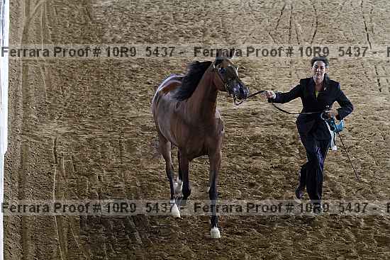 Proof 10r9_5437