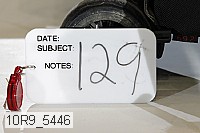 10r9_5446 proof