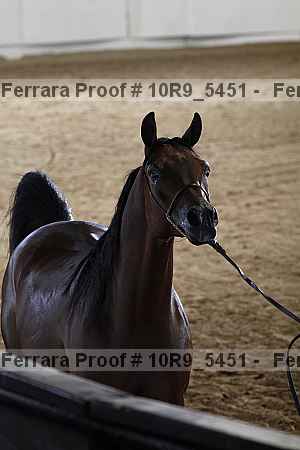Proof 10r9_5451