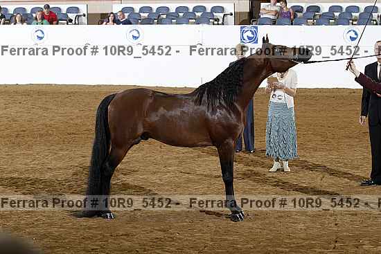 Proof 10r9_5452