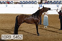 10r9_5452 proof