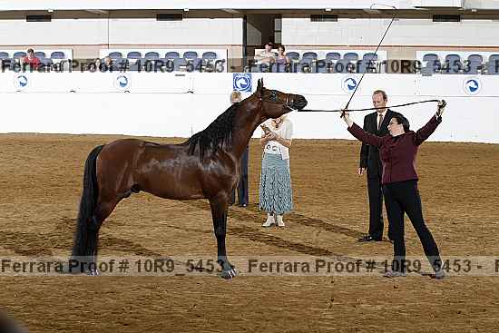Proof 10r9_5453