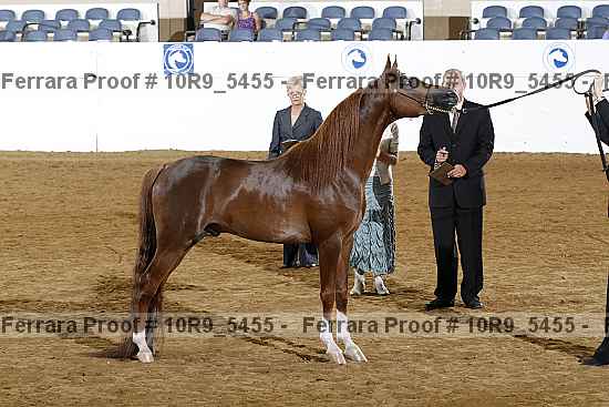 Proof 10r9_5455