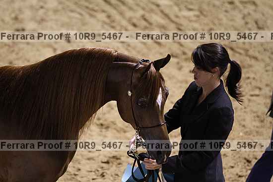 Proof 10r9_5467