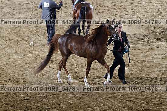 Proof 10r9_5478