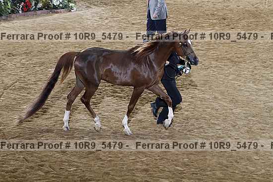 Proof 10r9_5479