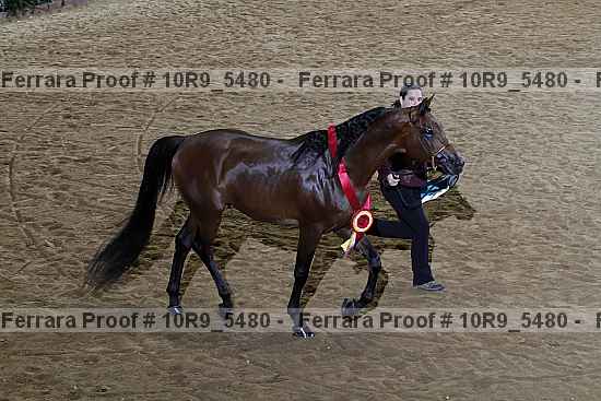 Proof 10r9_5480