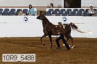 10r9_5488 proof