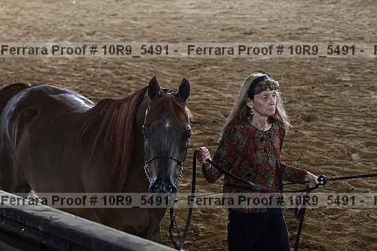 Proof 10r9_5491