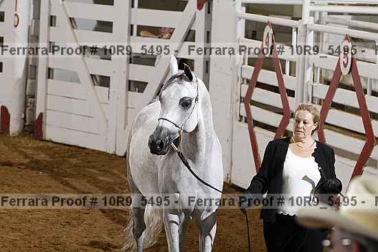 Proof 10r9_5495