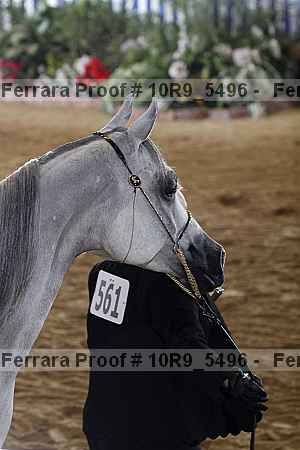 Proof 10r9_5496