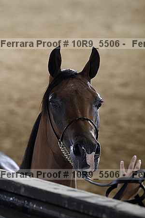 Proof 10r9_5506