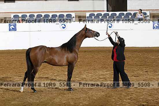 Proof 10r9_5508