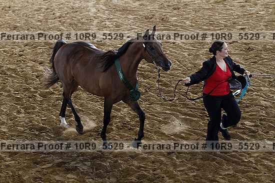 Proof 10r9_5529