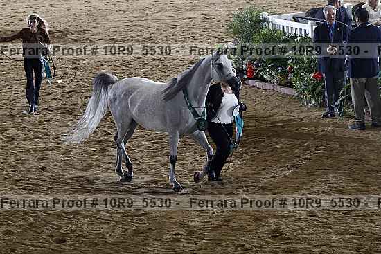 Proof 10r9_5530
