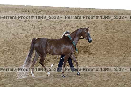 Proof 10r9_5532