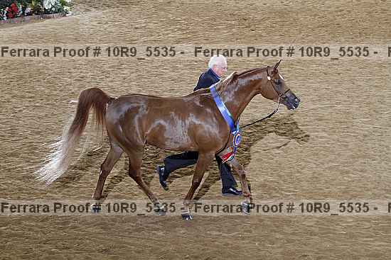 Proof 10r9_5535