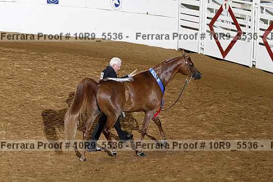 Proof 10r9_5536