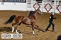 10r9_5538 proof